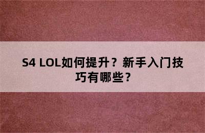 S4 LOL如何提升？新手入门技巧有哪些？